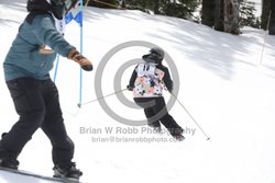 093-E-0170 <br>2025 Oregon Cancer Ski Out. Photo for review only, not to be reproduced. All racers will receive 2 action photos as well as the team photo from the team captain. See photography information post regarding ordering additional images.