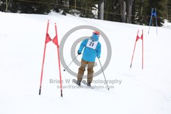 093-E-0268 <br>2025 Oregon Cancer Ski Out. Photo for review only, not to be reproduced. All racers will receive 2 action photos as well as the team photo from the team captain. See photography information post regarding ordering additional images.