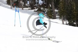 093-E-0288 <br>2025 Oregon Cancer Ski Out. Photo for review only, not to be reproduced. All racers will receive 2 action photos as well as the team photo from the team captain. See photography information post regarding ordering additional images.