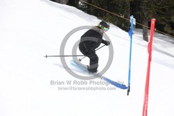 093-E-0316 <br>2025 Oregon Cancer Ski Out. Photo for review only, not to be reproduced. All racers will receive 2 action photos as well as the team photo from the team captain. See photography information post regarding ordering additional images.