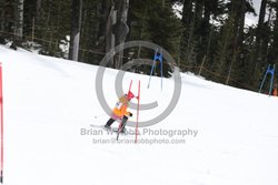 093-E-0317 <br>2025 Oregon Cancer Ski Out. Photo for review only, not to be reproduced. All racers will receive 2 action photos as well as the team photo from the team captain. See photography information post regarding ordering additional images.