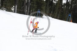 093-E-0318 <br>2025 Oregon Cancer Ski Out. Photo for review only, not to be reproduced. All racers will receive 2 action photos as well as the team photo from the team captain. See photography information post regarding ordering additional images.