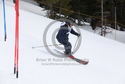 093-E-0338 <br>2025 Oregon Cancer Ski Out. Photo for review only, not to be reproduced. All racers will receive 2 action photos as well as the team photo from the team captain. See photography information post regarding ordering additional images.