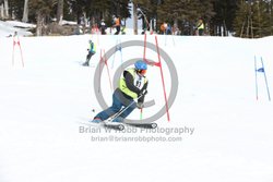 093-E-0379 <br>2025 Oregon Cancer Ski Out. Photo for review only, not to be reproduced. All racers will receive 2 action photos as well as the team photo from the team captain. See photography information post regarding ordering additional images.