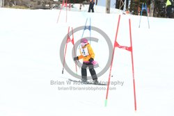 093-E-0450 <br>2025 Oregon Cancer Ski Out. Photo for review only, not to be reproduced. All racers will receive 2 action photos as well as the team photo from the team captain. See photography information post regarding ordering additional images.