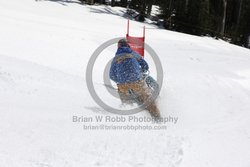 171-E-0377 <br>2025 Ski to Defeat ALS event at Mt Hood Meadows. Photo for review only and not to be reproduced.