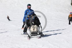 171-E-0435 <br>2025 Ski to Defeat ALS event at Mt Hood Meadows. Photo for review only and not to be reproduced.