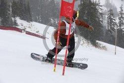 093-D-0160 <br>2026 Oregon Cancer Ski Out. Photo for review only, not to be reproduced. All racers will receive 2 action photos, the team photos, coaches photo, and the large group photo from the team captain. See photography information post regarding ordering additional images.