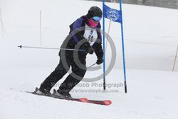 093-D-0225 <br>2026 Oregon Cancer Ski Out. Photo for review only, not to be reproduced. All racers will receive 2 action photos, the team photos, coaches photo, and the large group photo from the team captain. See photography information post regarding ordering additional images.