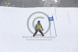 093-D-0320 <br>2026 Oregon Cancer Ski Out. Photo for review only, not to be reproduced. All racers will receive 2 action photos, the team photos, coaches photo, and the large group photo from the team captain. See photography information post regarding ordering additional images.