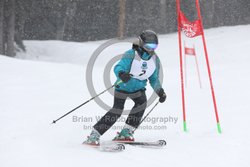 093-D-0341 <br>2026 Oregon Cancer Ski Out. Photo for review only, not to be reproduced. All racers will receive 2 action photos, the team photos, coaches photo, and the large group photo from the team captain. See photography information post regarding ordering additional images.