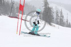 093-D-0417 <br>2026 Oregon Cancer Ski Out. Photo for review only, not to be reproduced. All racers will receive 2 action photos, the team photos, coaches photo, and the large group photo from the team captain. See photography information post regarding ordering additional images.