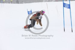 093-D-0419 <br>2026 Oregon Cancer Ski Out. Photo for review only, not to be reproduced. All racers will receive 2 action photos, the team photos, coaches photo, and the large group photo from the team captain. See photography information post regarding ordering additional images.