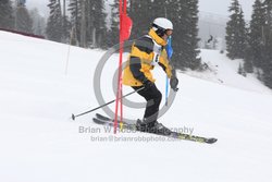 093-D-0454 <br>2026 Oregon Cancer Ski Out. Photo for review only, not to be reproduced. All racers will receive 2 action photos, the team photos, coaches photo, and the large group photo from the team captain. See photography information post regarding ordering additional images.