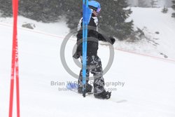 093-D-0486 <br>2026 Oregon Cancer Ski Out. Photo for review only, not to be reproduced. All racers will receive 2 action photos, the team photos, coaches photo, and the large group photo from the team captain. See photography information post regarding ordering additional images.