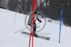 093-D-0610 <br>2026 Oregon Cancer Ski Out. Photo for review only, not to be reproduced. All racers will receive 2 action photos, the team photos, coaches photo, and the large group photo from the team captain. See photography information post regarding ordering additional images.