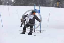 093-D-0629 <br>2026 Oregon Cancer Ski Out. Photo for review only, not to be reproduced. All racers will receive 2 action photos, the team photos, coaches photo, and the large group photo from the team captain. See photography information post regarding ordering additional images.