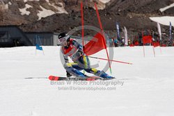 104-G-0379 <br>2023 Summer Fun Nationals. 1st run GS. Photo for review only, not to be reproduced. Go to: http://brianrobbphoto.com for photo ordering information. 
