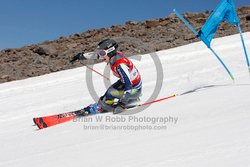 104-G-0381 <br>2023 Summer Fun Nationals. 1st run GS. Photo for review only, not to be reproduced. Go to: http://brianrobbphoto.com for photo ordering information. 