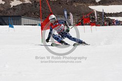 104-G-0383 <br>2023 Summer Fun Nationals. 1st run GS. Photo for review only, not to be reproduced. Go to: http://brianrobbphoto.com for photo ordering information. 