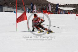 104-G-0393 <br>2023 Summer Fun Nationals. 1st run GS. Photo for review only, not to be reproduced. Go to: http://brianrobbphoto.com for photo ordering information. 