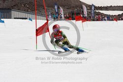 104-G-0398 <br>2023 Summer Fun Nationals. 1st run GS. Photo for review only, not to be reproduced. Go to: http://brianrobbphoto.com for photo ordering information. 