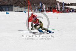 104-G-0399 <br>2023 Summer Fun Nationals. 1st run GS. Photo for review only, not to be reproduced. Go to: http://brianrobbphoto.com for photo ordering information. 