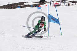 104-F-0172 <br>2024 Wy'East Cup. 1st run GS. Photo for review only, not to be reproduced. Go to: http://brianrobbphoto.com for photo ordering information.