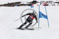 104-F-0176 <br>2024 Wy'East Cup. 1st run GS. Photo for review only, not to be reproduced. Go to: http://brianrobbphoto.com for photo ordering information.