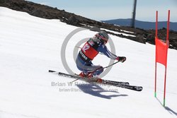 104-F-0195 <br>2024 Wy'East Cup. 1st run GS. Photo for review only, not to be reproduced. Go to: http://brianrobbphoto.com for photo ordering information.