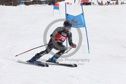 104-F-0197 <br>2024 Wy'East Cup. 1st run GS. Photo for review only, not to be reproduced. Go to: http://brianrobbphoto.com for photo ordering information.