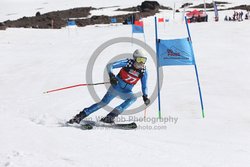 104-F-0212 <br>2024 Wy'East Cup. 1st run GS. Photo for review only, not to be reproduced. Go to: http://brianrobbphoto.com for photo ordering information.