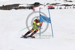 104-F-0223 <br>2024 Wy'East Cup. 1st run GS. Photo for review only, not to be reproduced. Go to: http://brianrobbphoto.com for photo ordering information.