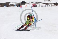 104-F-0224 <br>2024 Wy'East Cup. 1st run GS. Photo for review only, not to be reproduced. Go to: http://brianrobbphoto.com for photo ordering information.