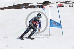 104-F-0232 <br>2024 Wy'East Cup. 1st run GS. Photo for review only, not to be reproduced. Go to: http://brianrobbphoto.com for photo ordering information.