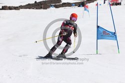 104-F-0237 <br>2024 Wy'East Cup. 1st run GS. Photo for review only, not to be reproduced. Go to: http://brianrobbphoto.com for photo ordering information.