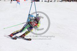 104-F-0239 <br>2024 Wy'East Cup. 1st run GS. Photo for review only, not to be reproduced. Go to: http://brianrobbphoto.com for photo ordering information.