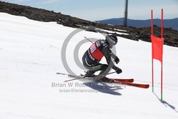 104-F-0254 <br>2024 Wy'East Cup. 1st run GS. Photo for review only, not to be reproduced. Go to: http://brianrobbphoto.com for photo ordering information.