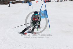 104-F-0260 <br>2024 Wy'East Cup. 1st run GS. Photo for review only, not to be reproduced. Go to: http://brianrobbphoto.com for photo ordering information.