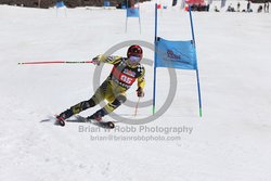 104-F-0267 <br>2024 Wy'East Cup. 1st run GS. Photo for review only, not to be reproduced. Go to: http://brianrobbphoto.com for photo ordering information.