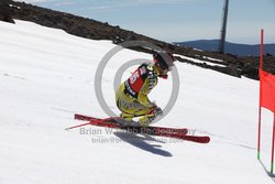 104-F-0268 <br>2024 Wy'East Cup. 1st run GS. Photo for review only, not to be reproduced. Go to: http://brianrobbphoto.com for photo ordering information.