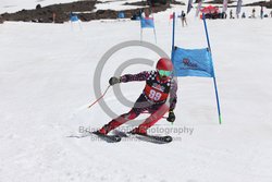 104-F-0276 <br>2024 Wy'East Cup. 1st run GS. Photo for review only, not to be reproduced. Go to: http://brianrobbphoto.com for photo ordering information.