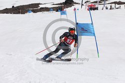 104-F-0282 <br>2024 Wy'East Cup. 1st run GS. Photo for review only, not to be reproduced. Go to: http://brianrobbphoto.com for photo ordering information.