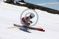 104-F-0291 <br>2024 Wy'East Cup. 1st run GS. Photo for review only, not to be reproduced. Go to: http://brianrobbphoto.com for photo ordering information.