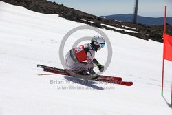 104-F-0292 <br>2024 Wy'East Cup. 1st run GS. Photo for review only, not to be reproduced. Go to: http://brianrobbphoto.com for photo ordering information.