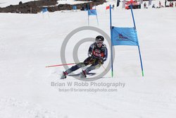 104-F-0293 <br>2024 Wy'East Cup. 1st run GS. Photo for review only, not to be reproduced. Go to: http://brianrobbphoto.com for photo ordering information.