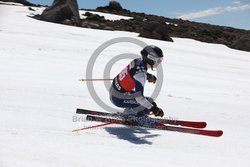 104-F-0295 <br>2024 Wy'East Cup. 1st run GS. Photo for review only, not to be reproduced. Go to: http://brianrobbphoto.com for photo ordering information.