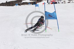 104-F-0297 <br>2024 Wy'East Cup. 1st run GS. Photo for review only, not to be reproduced. Go to: http://brianrobbphoto.com for photo ordering information.