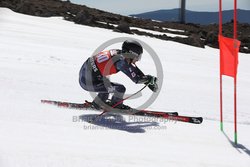 104-F-0301 <br>2024 Wy'East Cup. 1st run GS. Photo for review only, not to be reproduced. Go to: http://brianrobbphoto.com for photo ordering information.