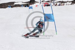 104-F-0302 <br>2024 Wy'East Cup. 1st run GS. Photo for review only, not to be reproduced. Go to: http://brianrobbphoto.com for photo ordering information.